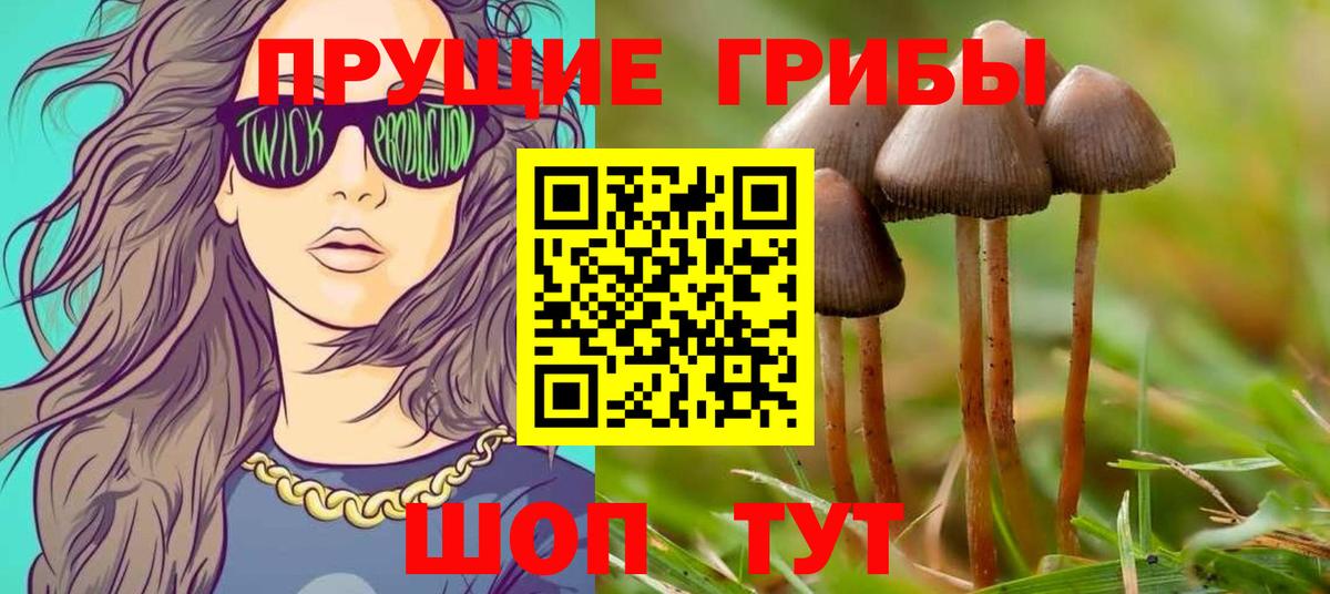 Галлюциногенные грибы мухоморы  Вход с VPN  Галлюциногенные грибы Magic Shrooms  Аша 