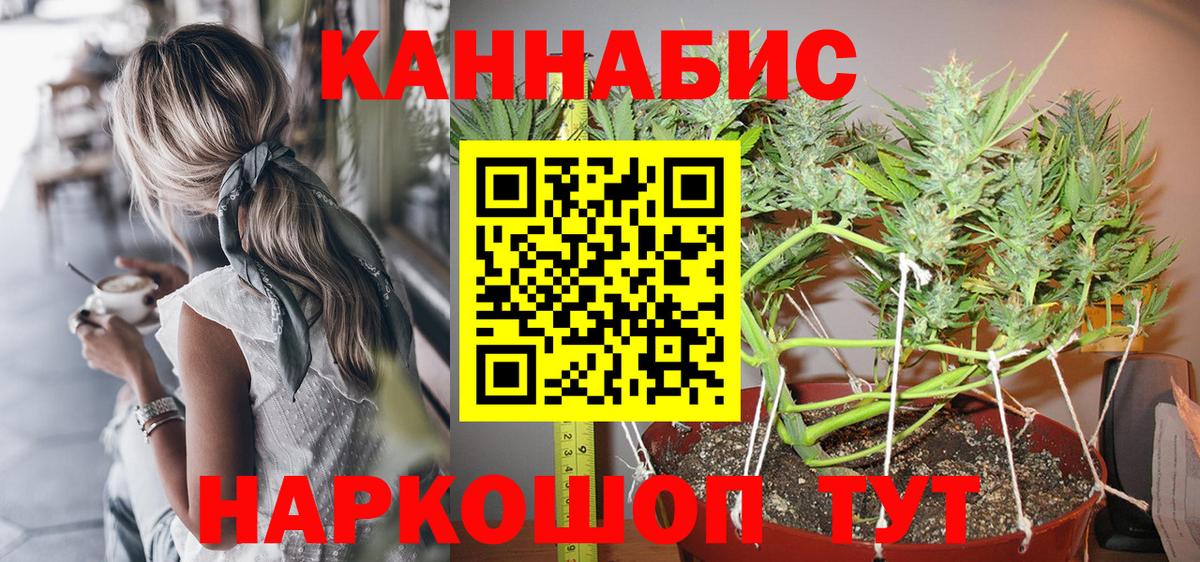 Канабис план Аша